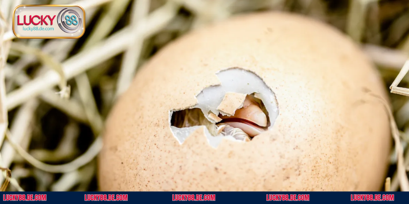 Bạn có thể nằm chiêm bao thấy nhiều tình huống khác nhau